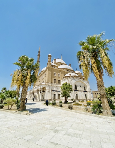 Beautiful mosque with palm trees in the foreground.