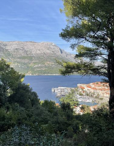 View of a coastal town with mountains and sea in the background.