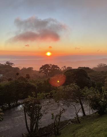 Sunrise over a foggy and lush landscape.
