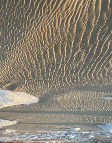 Desert sand with wind patterns and rocks.