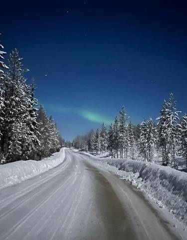 Snowy road through forest with aurora borealis in night sky.