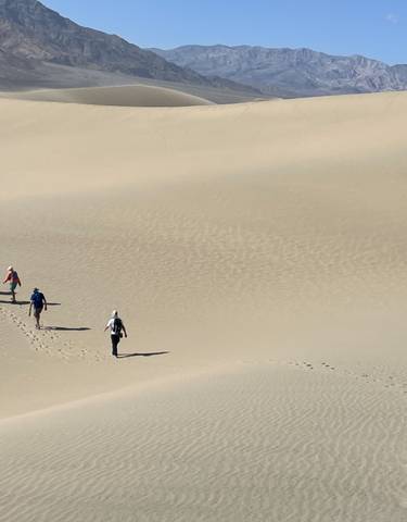 A group of people walking across sand dunes.