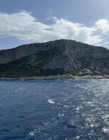 Ocean view with rocky island.