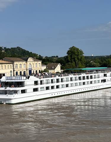 Large cruise ship docked by riverside buildings.