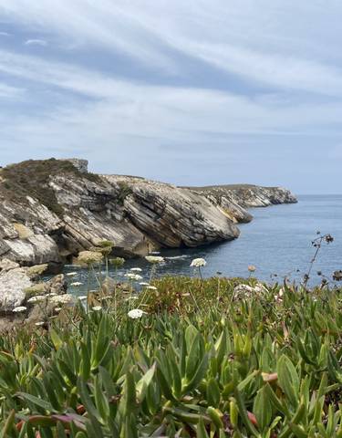 Rocky coastline with wildflowers and an expansive sea view.