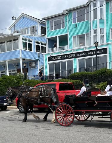Horse-drawn carriage on a colorful street with blue, pink, and yellow buildings.