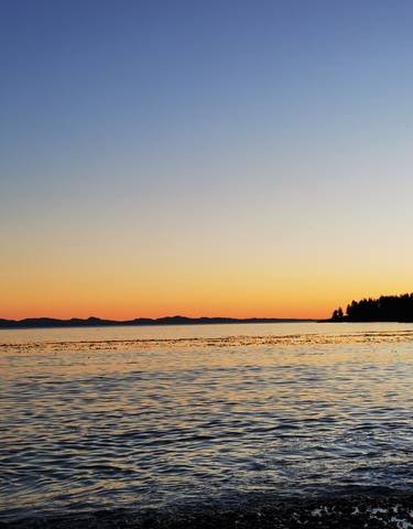 Sunset over a calm ocean with silhouetted trees.