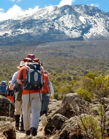 Hikers walking towards a snow-capped mountain.