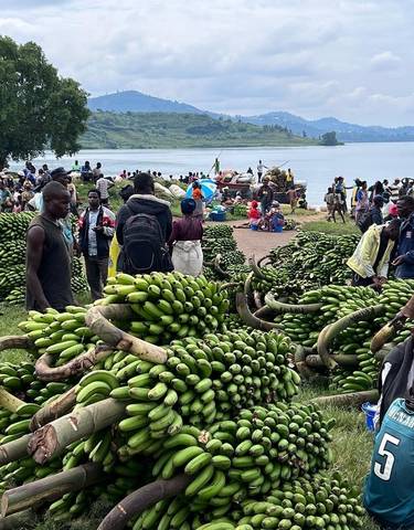 A busy market scene with people and large bunches of green bananas.
