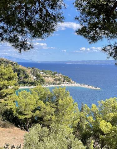 Scenic beach view with blue waters and lush greenery on the coast.