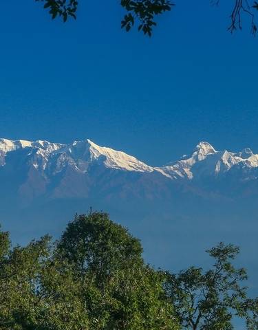 Snow-capped mountain range framed by lush green foliage.
