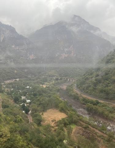 Scenic view of a canyon with trees and mist.