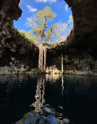 A cenote with hanging vines and crystal clear water.
