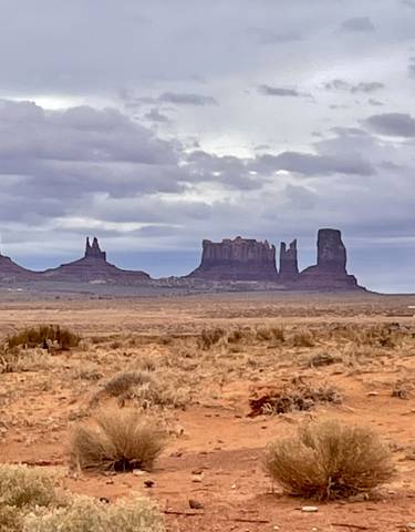 Wide view of desert buttes and mesas