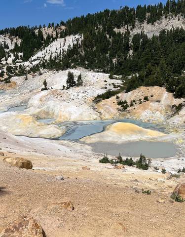 Geothermal hot springs with bright mineral deposits and sparse trees.