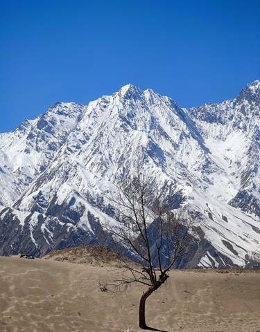 Imposing snow-covered mountain peak under clear sky.