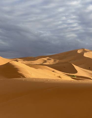 Vast sand dunes under a cloudy sky.