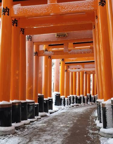 Snow-covered torii gates in a serene setting.