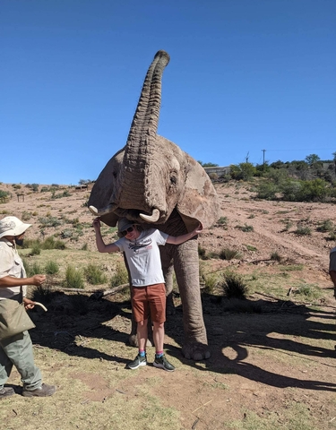 Person with an elephant in a safari setting.