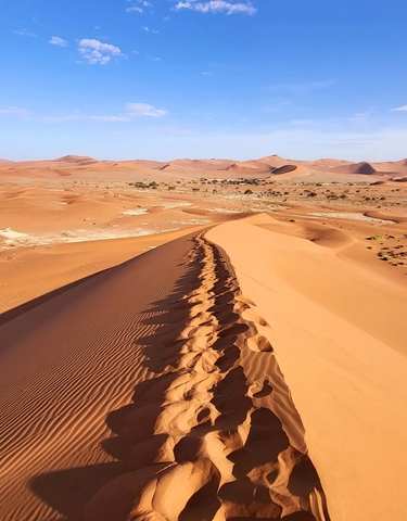 Expansive sand dunes under a clear sky.