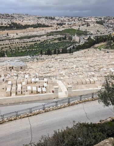 A cemetery on a hillside with a city view in the distance.