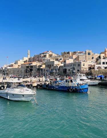 Harbor with boats and old city buildings in the background.