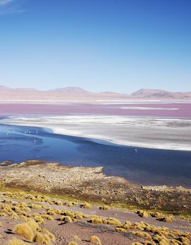 Vast desert landscape with a salt flat and distant mountains.