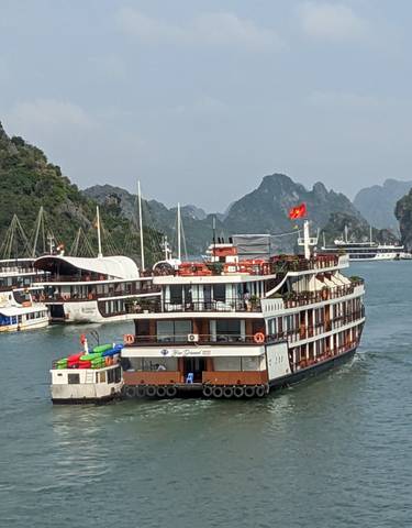 Tour boats in a bay surrounded by limestone karsts.