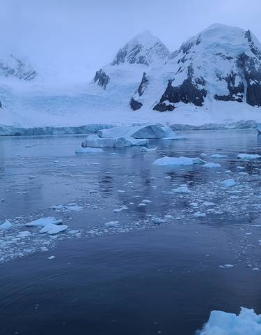 Iceberg-filled bay surrounded by snowy mountains.