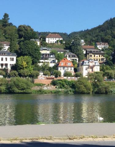 Riverside view with historical buildings and greenery.