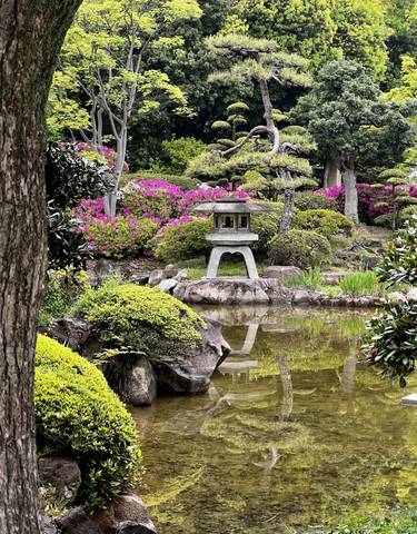 Japanese garden with lantern and blooming flowers.