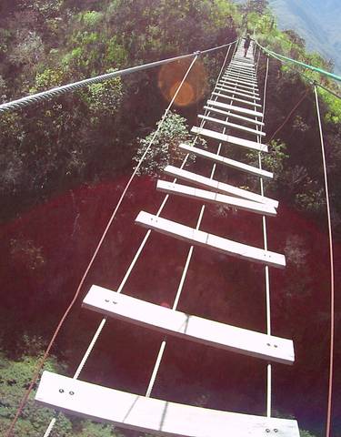 Suspension bridge over lush green valley.