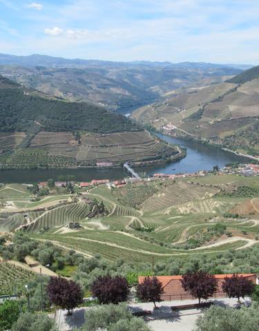 Scenic view of vineyards and a river winding through a valley.