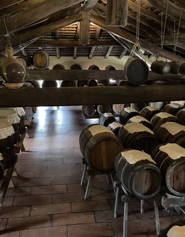 Barrels aging in a traditional cellar