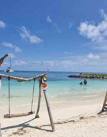 A beach scene with a wooden swing and clear blue waters.