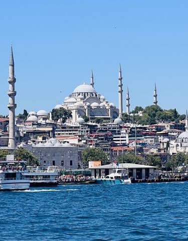 Panoramic view of a large mosque with minarets.
