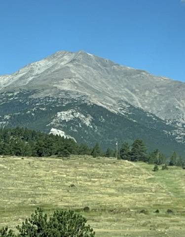 Distant mountain peak with a clear blue sky and forested foreground.