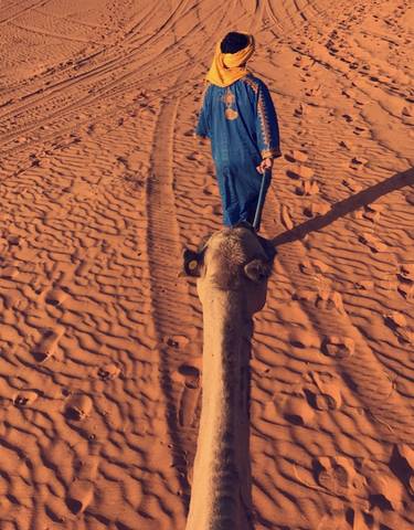 Close-up view from a camel ride in the desert.