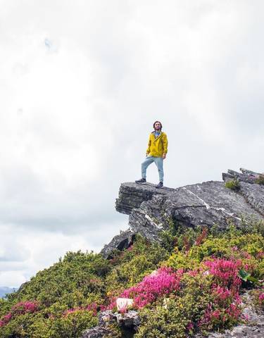 Person standing on a rocky peak with bright flowers around