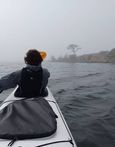 Person kayaking on a misty lake.