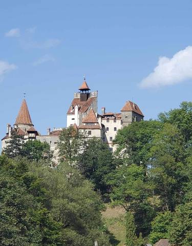 Castle on top of a hill surrounded by trees.