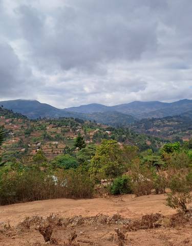 Hilly landscape with villages and dense vegetation.