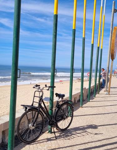 Bicycle parked on a seafront promenade.