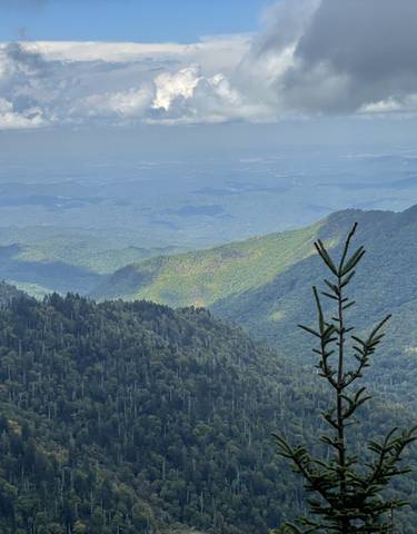 Panoramic view of mountains and forested valleys.