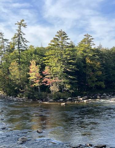 Scenic view of a river surrounded by trees during autumn.