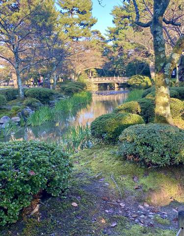A serene Japanese garden with a small bridge over a pond.