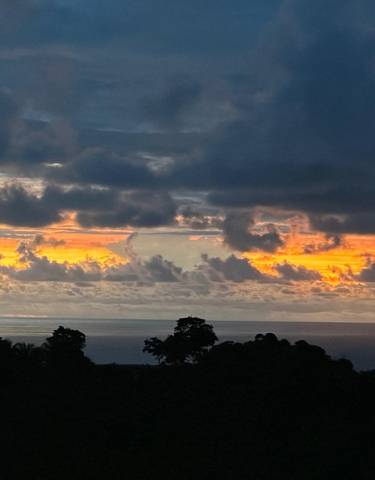 Colorful sunset over the ocean with silhouetted trees.