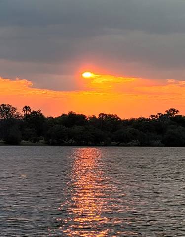 Bright orange sunset over a calm river and silhouetted trees.