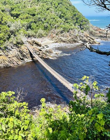 A suspension bridge over a river with surrounding greenery.