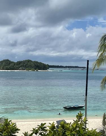 A scenic view of a tropical island with a palm tree and calm waters.